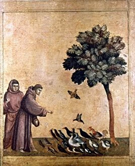 Giotto Jigsaw Puzzle Collection: ST. FRANCIS OF ASSISI (c1181-1226). Italian friar. St. Francis preaching to the birds