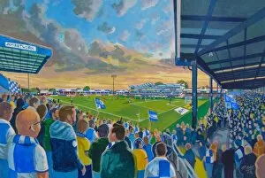 Rugby Jigsaw Puzzle Collection: Memorial Ground Stadium Fine Art - Bristol Rovers Football Club