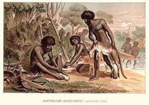Agricultural Occupation Collection: Aboriginal people preparing a meal, 19th Century Australia