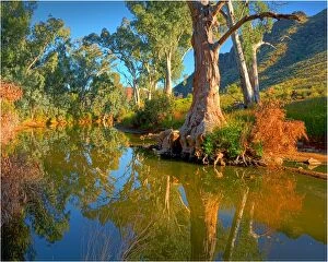 Beauty In Nature Collection: Arkaroola, an area of incredible semi arid wilderness in the northern Flinders Ranges of South