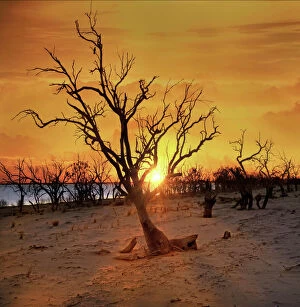 Nature-inspired artwork Canvas Print Collection: Australian sunset