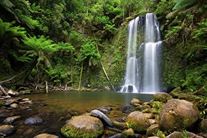 Great Otway National Park Collection: Beauchamp falls