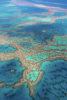 Turquoise Colored Collection: Great Barrier Reef