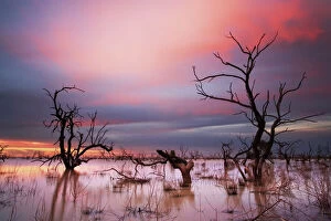 Menindee Lakes Collection: Menindee Lakes, Outback NSW, Australia