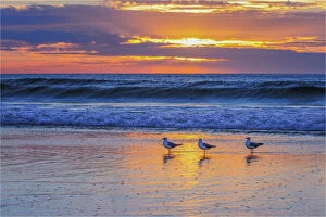 Landscape paintings Framed Print Collection: Moana beach Fleurieu Peninsula South Australia