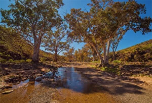 Nature-inspired artwork Jigsaw Puzzle Collection: Parachilna gorge in the springtime, southern Flinders Ranges, South Australia
