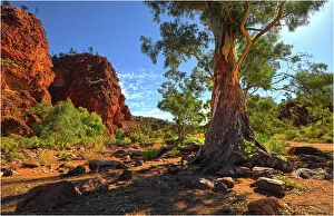 27 Jul 2011 Photographic Print Collection: Stubbs waterhole, northern Flinders Ranges, South Australia