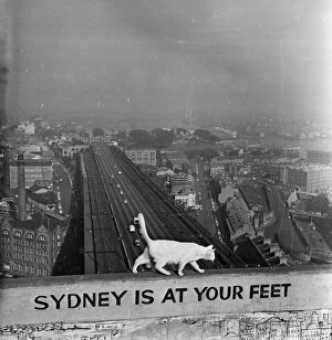 Australasia Collection: Sydney At Your Feet