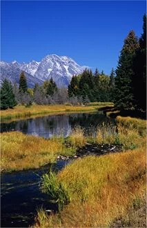 Beauty In Nature Collection: View from Schwarbachers Landing, Grand Teton National Park, Wyoming, USA