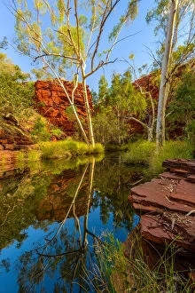 Karijini National Park Jigsaw Puzzle Collection: Weano Gorge, Karijini National Park, Western Australia, Australia