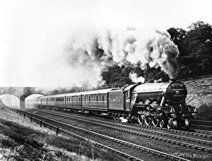 Flying Scotsman Canvas Print Collection: Flying Scotsman, 1944