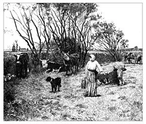 Rural countryside paintings Fine Art Print Collection: Antique illustration of landscape with animals and farmer