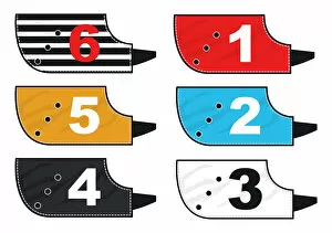 Dog Racing Cushion Collection: Colour coded jackets for greyhound race dogs