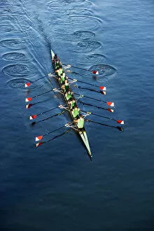 Teammate Collection: Crew Team Rowing