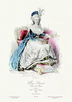Fashion Trends Through Time Collection: Marie Antoinette