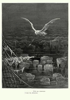 Art Fine Art Print Collection: Rime of the Ancient Mariner - I shot Albatross