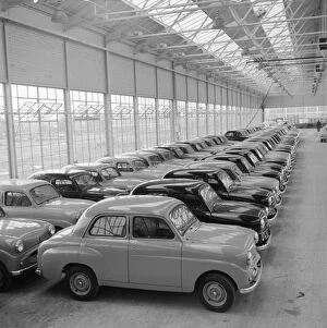 Large Group Of Objects Collection: Standard Eight Cars