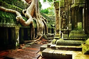 Temple Building Collection: Ta Prohm Angkor Wat Cambodia