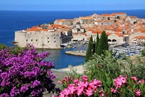 Summer Collection: View of Old Town City of Dubrovnik