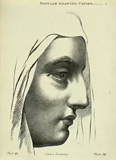 Art Collection: Vintage illustration of Sketching human face, Young woman in profile
