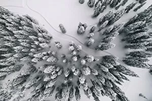 Hund Collection: Winter Forest Aerial View