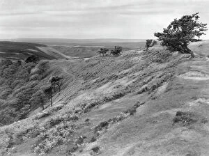 Hulton Archive Fine Art Print Collection: Yorkshire Moors