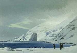 Antarctic Expedition Metal Print Collection: Looking east from Lookout Point, men and penguins, Elephant Island, 1916
