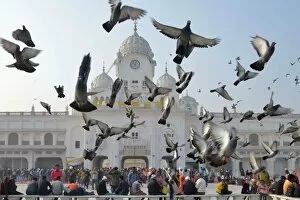 Travel Photo Mug Collection: India-Religion-Sikh-New-Year