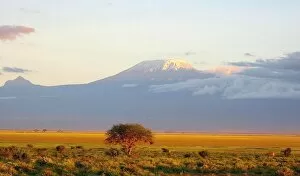 Africa Collection: Mount Kilimanjaro Sunset