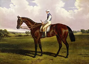 Horse Racing Fine Art Print Collection: Bloomsbury, A Chestnut Racehorse with Sam Templeman up, in a Landscape, (oil on canvas)