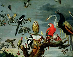 Related Images Collection: Concert of Birds (oil on canvas)