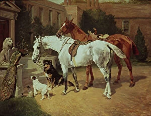 Landsitz Collection: Horses and Dogs