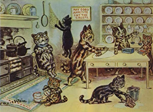Cartoon Metal Print Collection: The Little Miss Pussy Cats helping in the kitchen (colour litho)