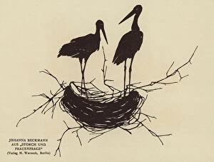 Related Images Jigsaw Puzzle Collection: Silhouette of a storks nest (litho)