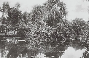 Singapore Island Collection: Singapore: Botanical Garden, The lake (b/w photo)