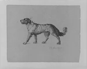 Sketches Pillow Collection: Newfoundland Dog Sketchbook 1810-20 Ink wash