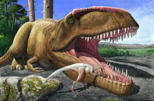 Roaring Collection: An Alvarezsaurid bird cleans the mouth of a Giganotosaurus carolinii dinosaur