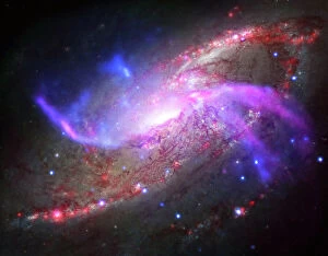 Stars Collection: A galactic light show in spiral galaxy NGC 4258
