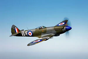 Warbird Collection: A Supermarine Spitfire Mk-18 in flight