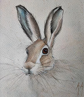 Wildlife watercolor paintings Canvas Print Collection: Hare