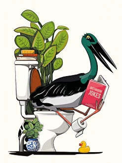 Related Images Poster Print Collection: Australian Black Stork On Toilet