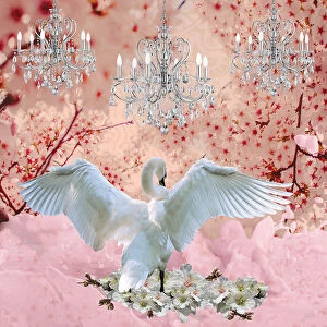 Surrealism artwork Collection: Champagne Swan