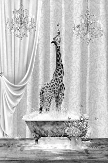 Contemporary art Collection: Giraffe & Bubbles Black & White