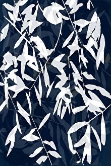 Flowers and plants Fine Art Print Collection: Navy White Bamboo 2