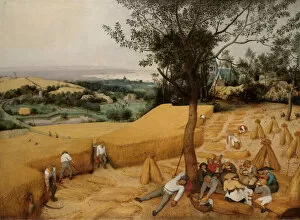 Landscape paintings Poster Print Collection: The Harvesters, 1565. Creator: Pieter Bruegel the Elder