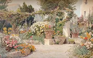 Flower Pot Collection: An Italian Garden, c1903. Artist: George Samuel Elgood