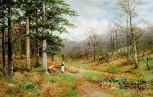 Landscape paintings Poster Print Collection: On The Long Mynd, Church Stretton, 1907. Creator: David Bates