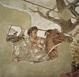 Ancient Persian empire mosaics Greetings Card Collection: Roman mosaic of Alexander the Great at the Battle of Issus, Pompeii, Italy, (1st century AD)