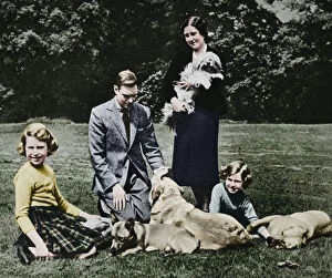 The Queen Mother Canvas Print Collection: Royal family as a happy group of dog lovers, 1937. Artist: Michael Chance