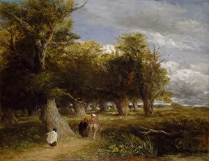 Birmingham Museum And Art Gallery Collection: The Skirts of the Forest, 1856. Creator: David Cox the elder